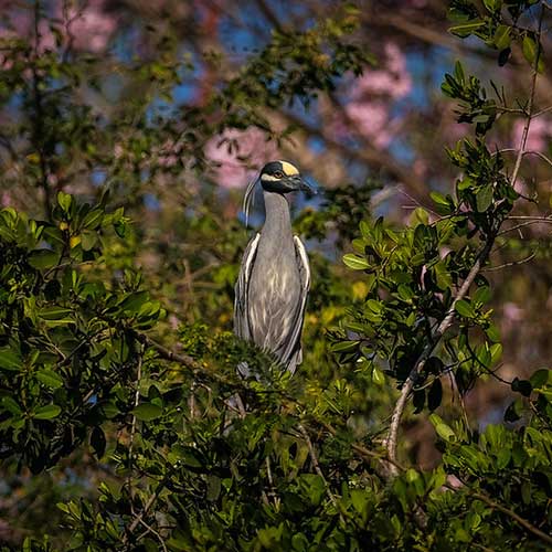 El Estero El Salado reabre sus puertas con recorridos gratuitos para niños y adultos