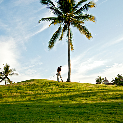Golf en Puerto Vallarta: Un paraíso "Green" para Todos