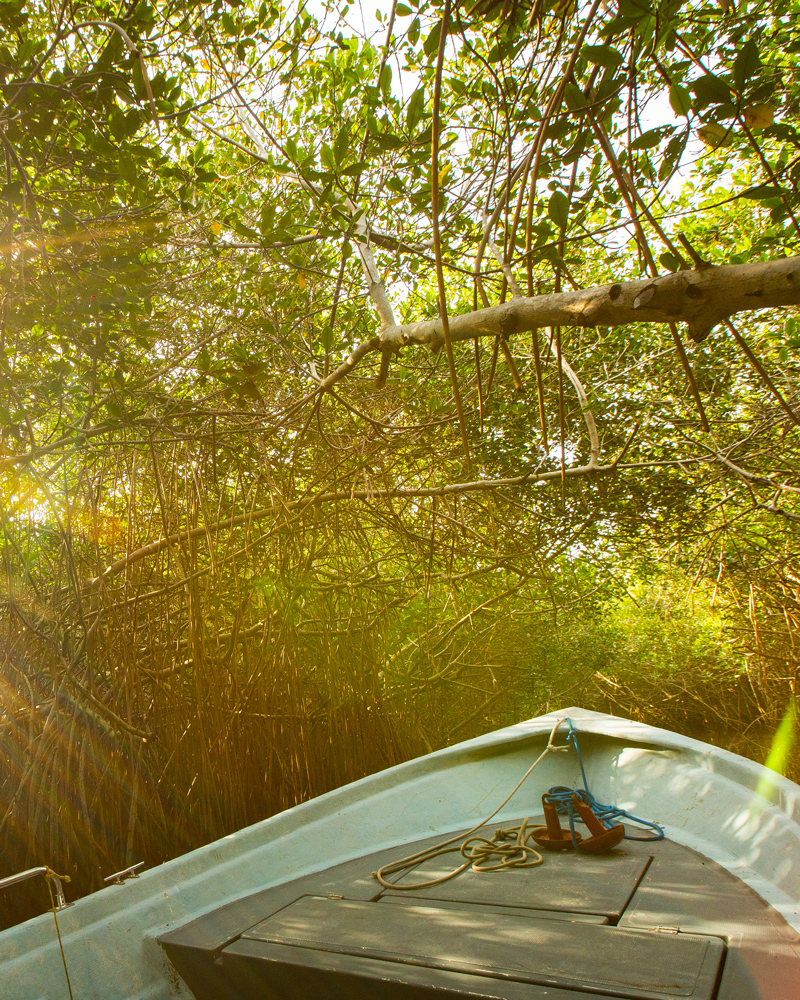 Estero El Salado en Puerto Vallarta