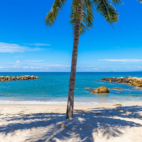 Tu guía a las playas escondidas de Puerto Vallarta